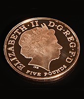 The Gold Coins Auction Image